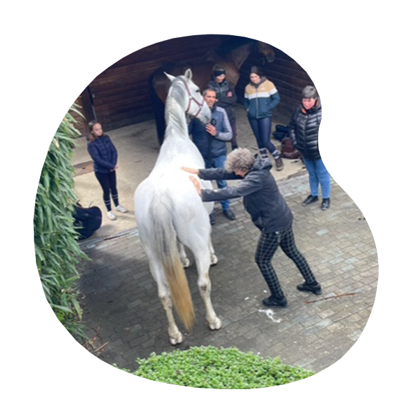 chevaux-4.1
