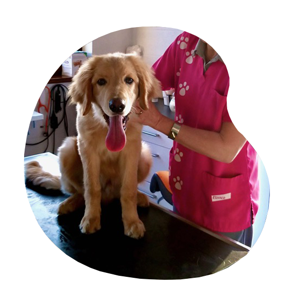 service-osteopathie-5.1